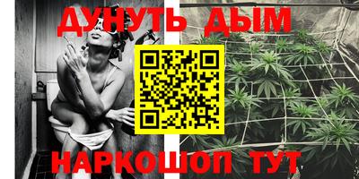 скорость Кингисепп