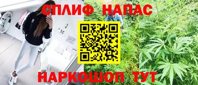 скорость Кингисепп